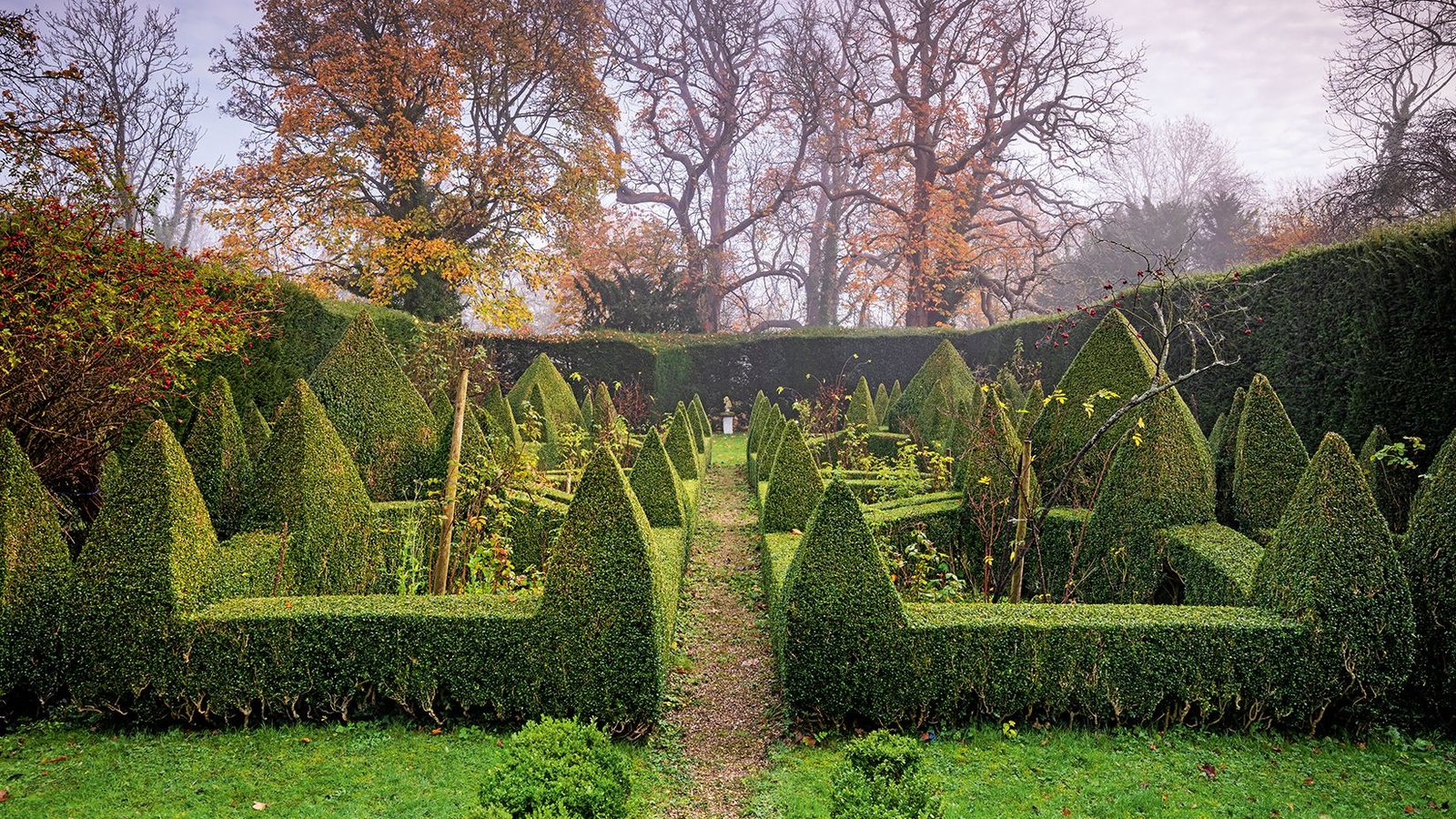 Tidy garden and hedges at a UK home
